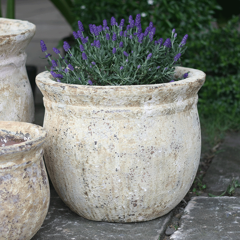 3075 Atlantic Tulip Bầu 1 Viền Ngang 41x41x34 Màu Trái Đất