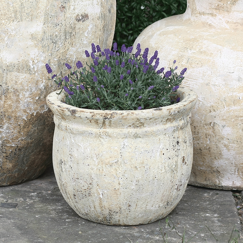 3075 Atlantic Tulip Bầu 1 Viền Ngang 30x30x24 Màu Trái Đất