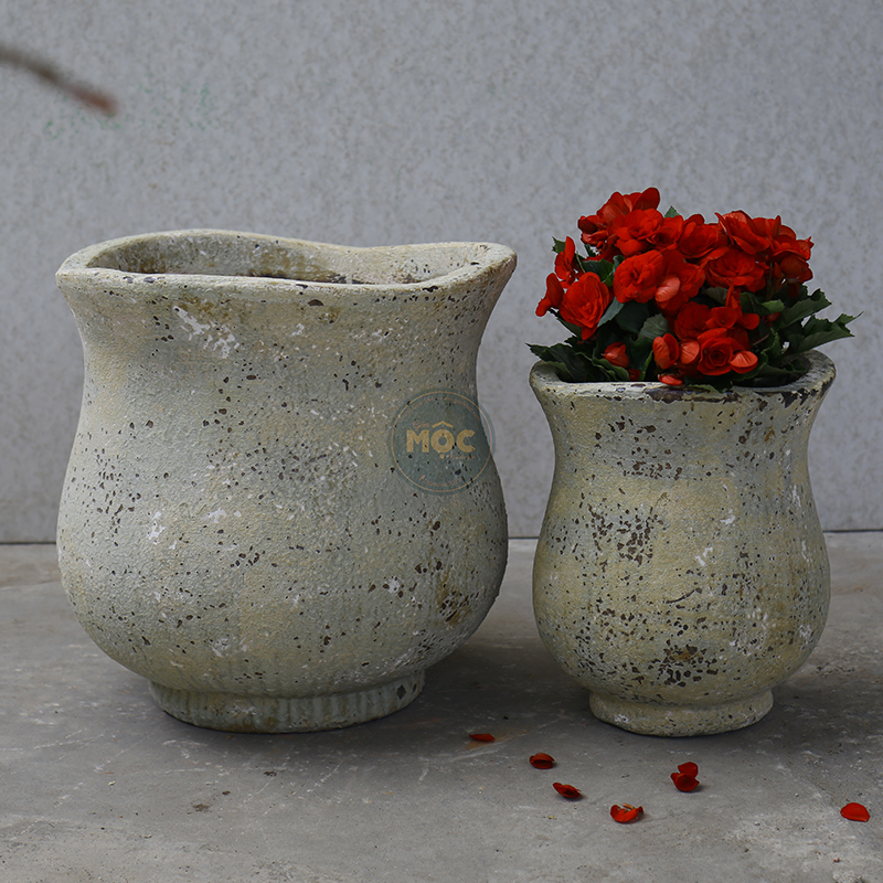 3259 Atlantic Tulip Miệng Bèo 34x34x37 M30 Màu Thời Đại