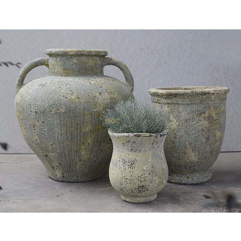 3259 Atlantic Tulip Miệng Bèo 34x34x37 M30 Màu Thời Đại