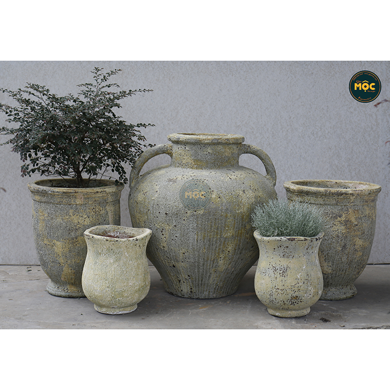 3259 Atlantic Tulip Miệng Bèo 34x34x37 M30 Màu Thời Đại