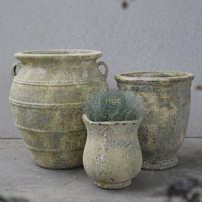 3259 Atlantic Tulip Miệng Bèo 34x34x37 M30 Màu Thời Đại