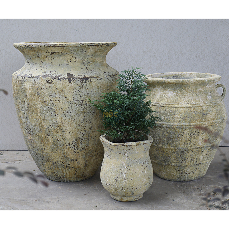 3259 Atlantic Tulip Miệng Bèo 34x34x37 M30 Màu Thời Đại