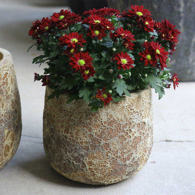 3538 Atlantic Bầu 23x23x19 M20