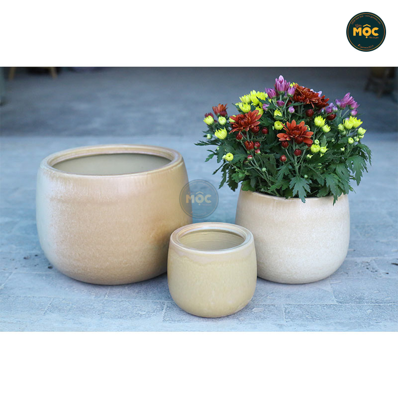 Mờ | 3746 Chậu ID Bầu Đáy 21x21x17 M19