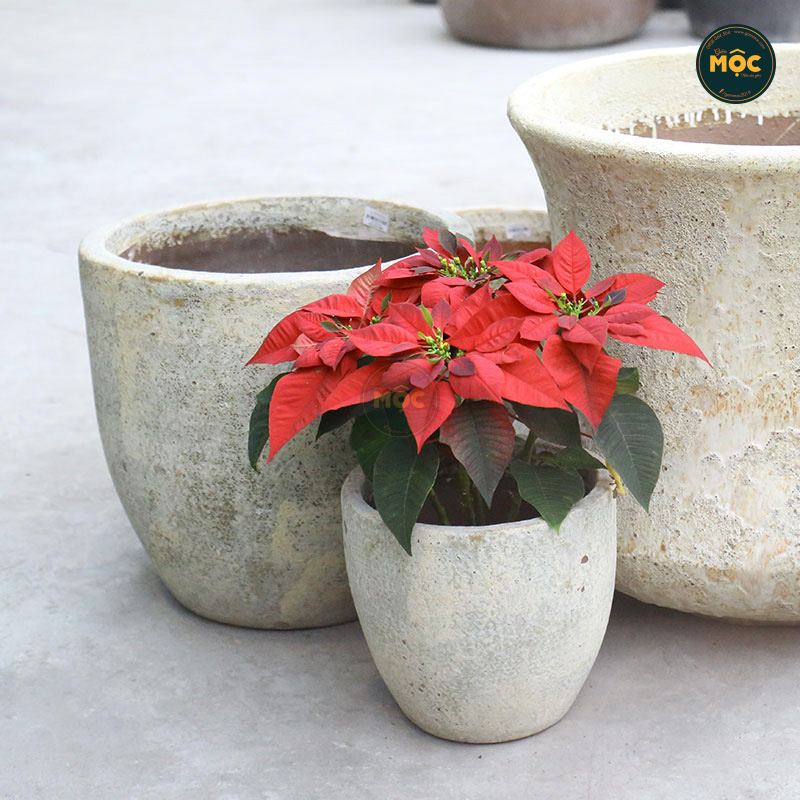 3913 Atlantic Trứng 28x28x25