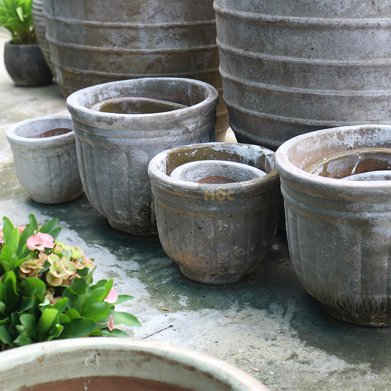 4052 Men Mỹ Thuật Chậu Bí Cao 43x43x40