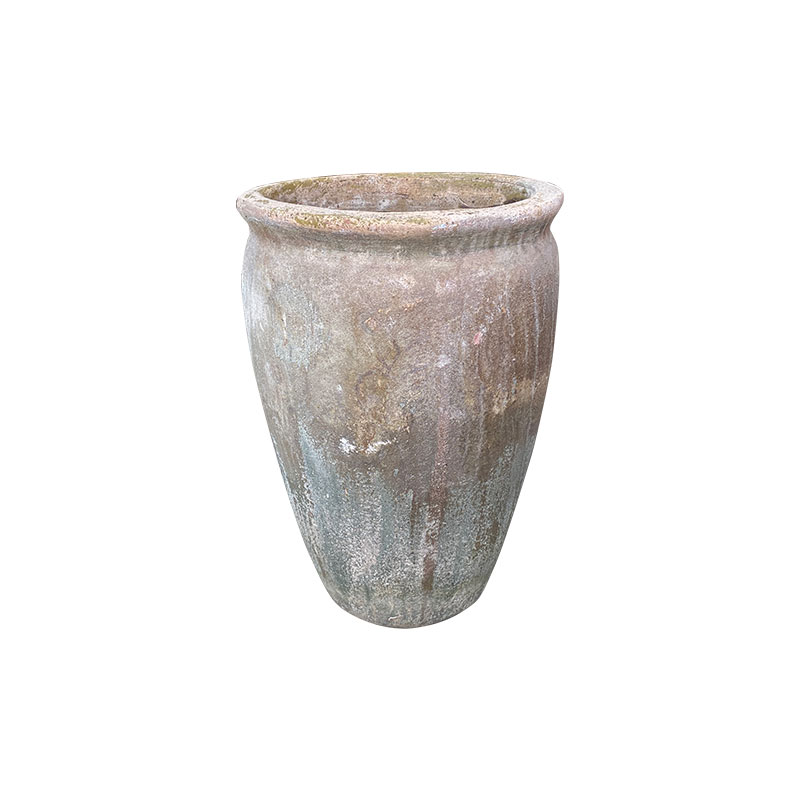 Wax Xanh Rêu