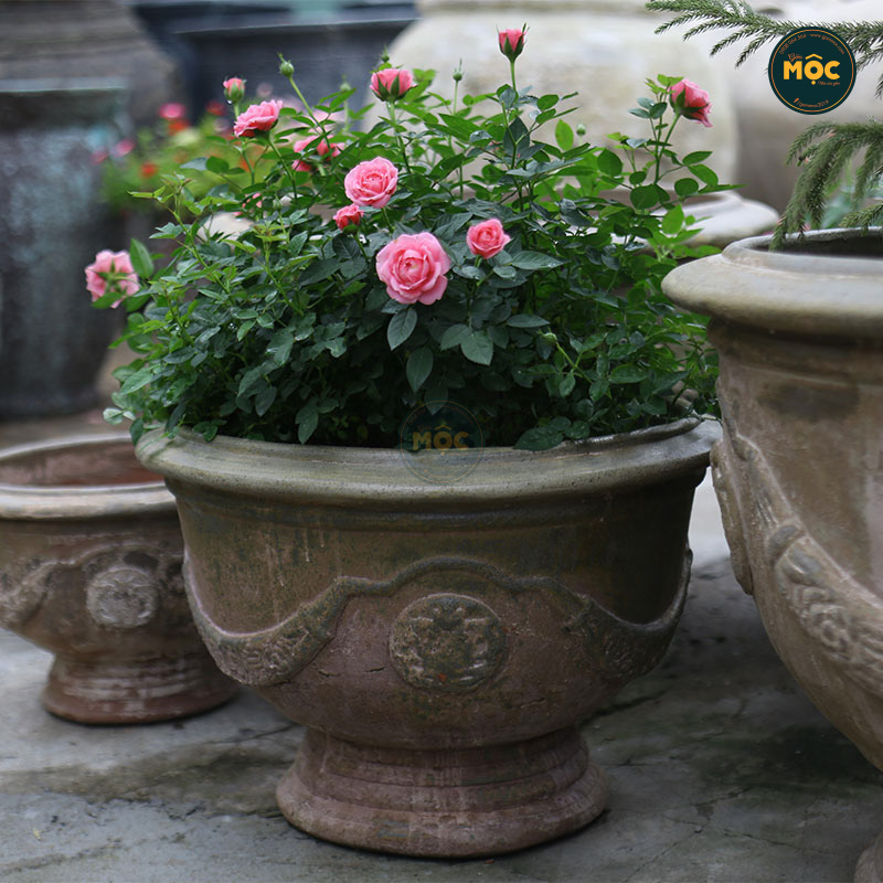 4034 Men Mỹ Thuật Ly Cúp Cổ Điển 51x51x36