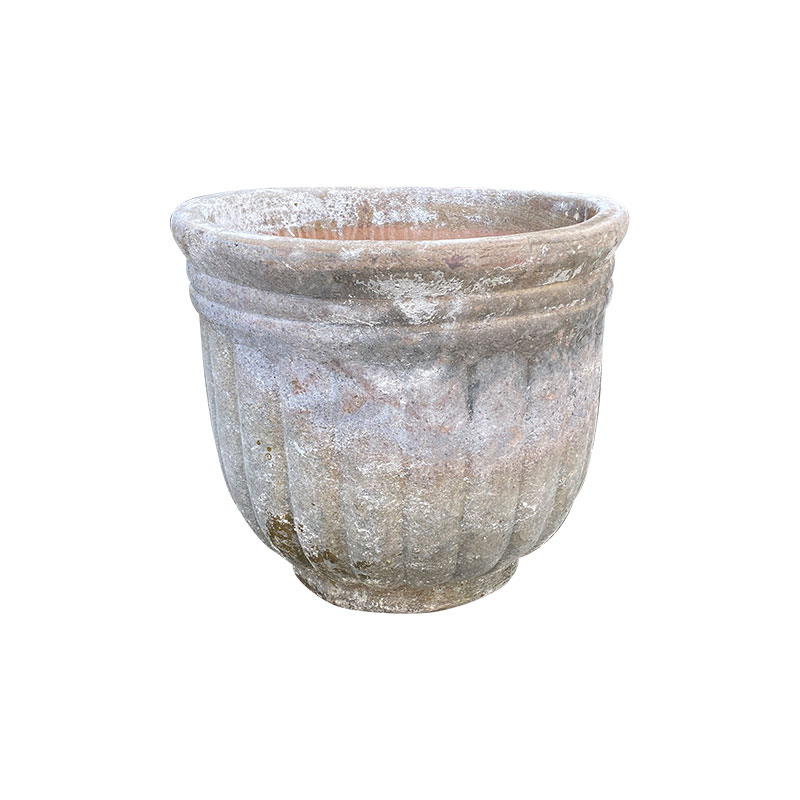 4052 Men Mỹ Thuật Chậu Bí Cao 43x43x40